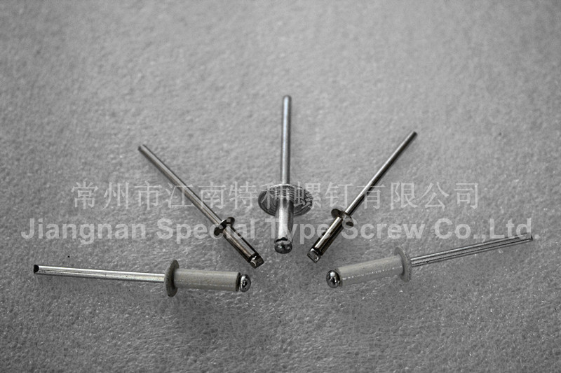 Changzhou wujin Jiangnan Special Type Screw CO.,Ltd.