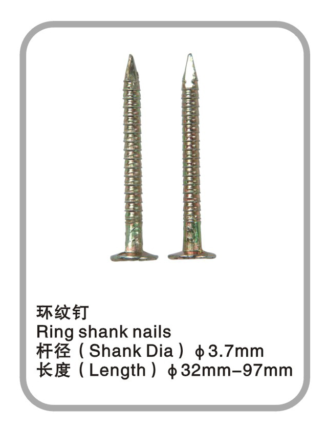 Ring shank nails-Sample library-chinaFastenerinfo.net