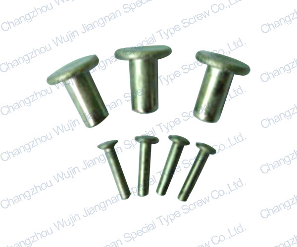 常州市武进江南特种螺钉有限公司