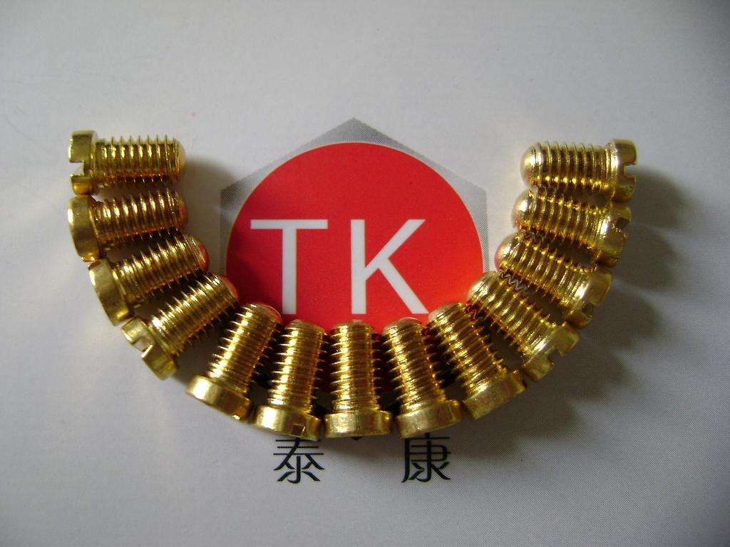 温州泰康紧固件有限公司