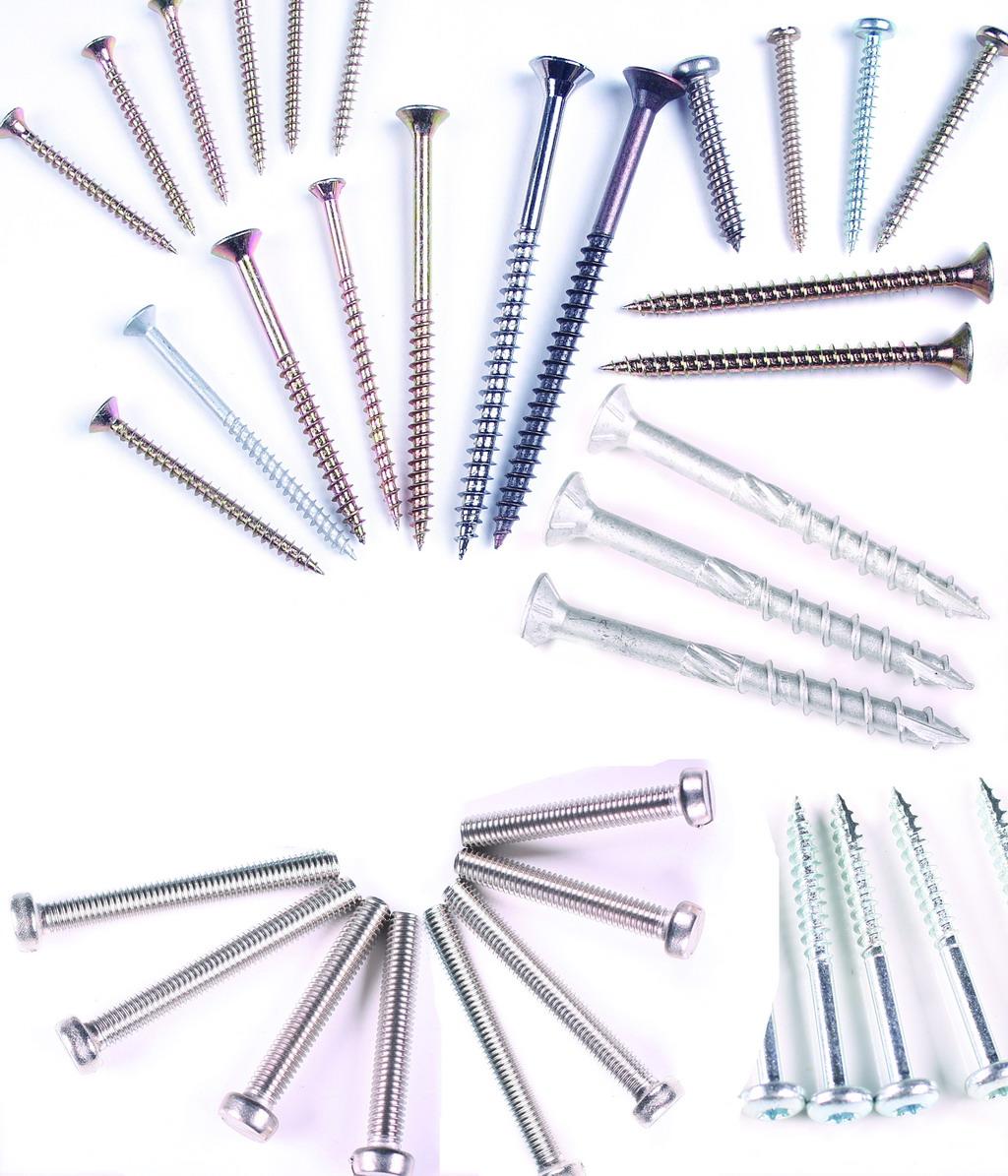 screws-Sample library-chinaFastenerinfo.net