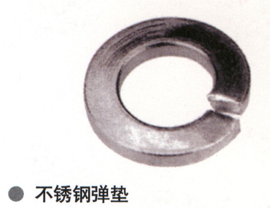 stainless steel spring washers-Sample library-chinaFastenerinfo.net